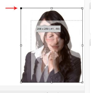 Resize1