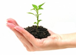 business-growth