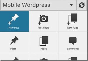 Wordpress Business Website mobile content management