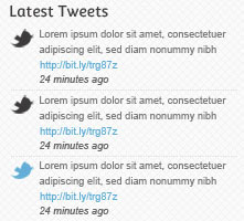 Wordpress Business Website tweet automatically