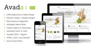 Avada Theme