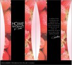 Colony Product Design