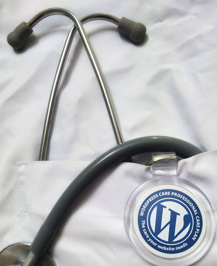 Wordpress Care Plan